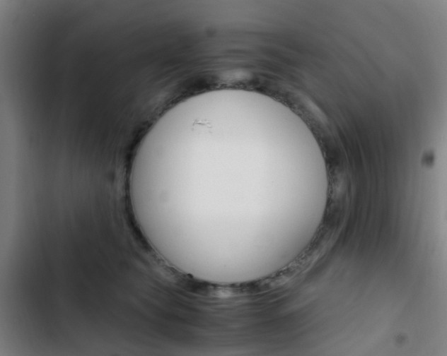 X0000103330565200809051025