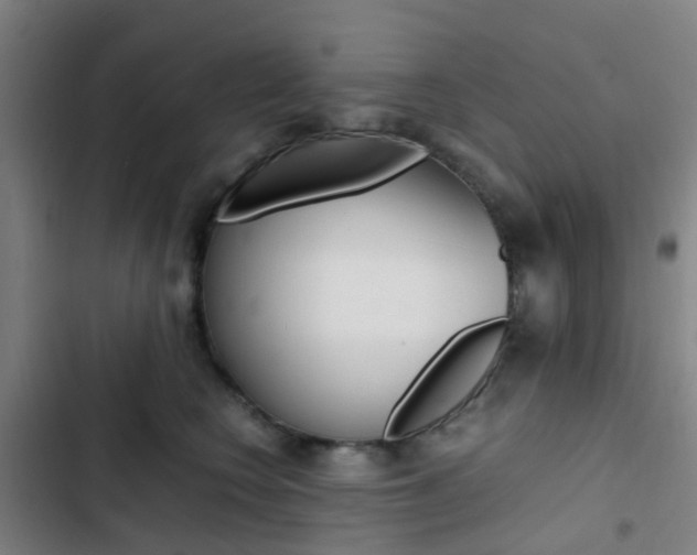 X0000103330566200809051025