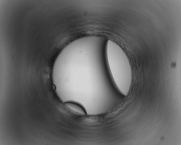 X0000103330567200809051025