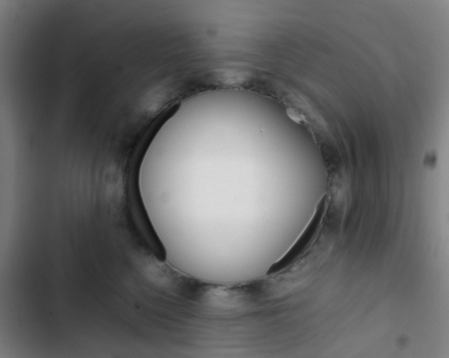 X0000103330568200809051025