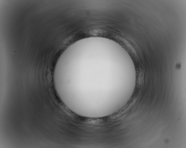 X0000103330569200809051025