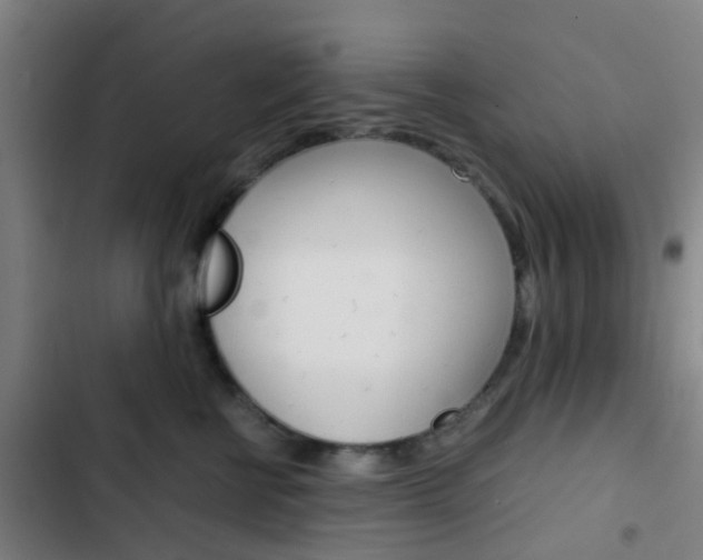 X0000103330570200809051025