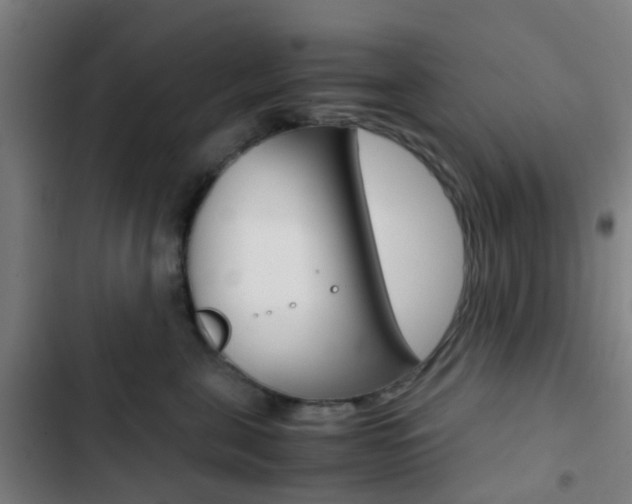 X0000103330571200809051025