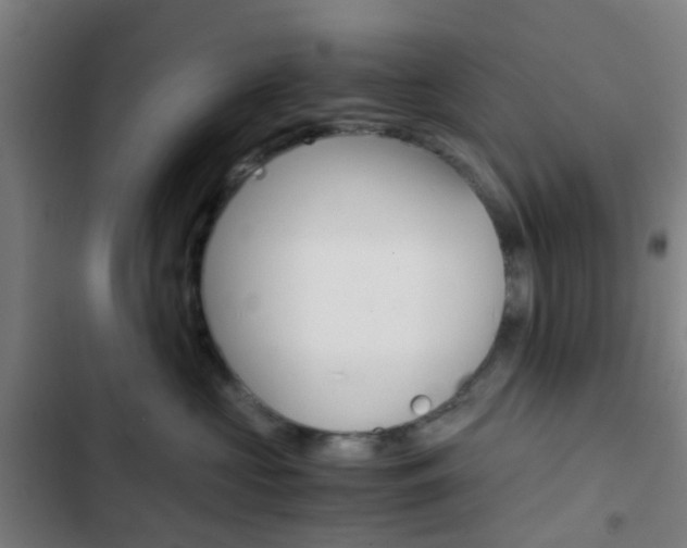 X0000103330573200809051025