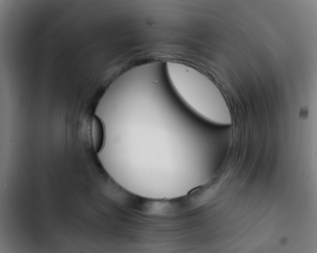 X0000103330575200809051025