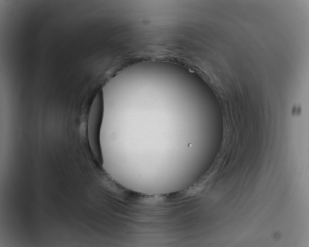 X0000103330576200809051025