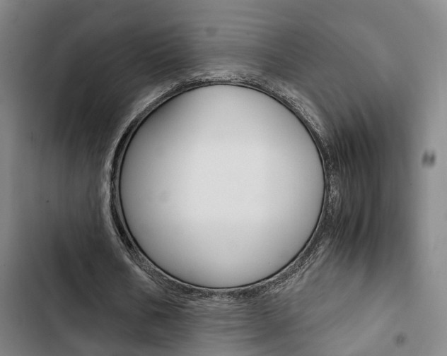 X0000103330578200809051024