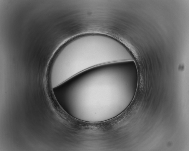 X0000103330580200809051024