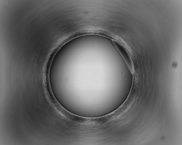 X0000103330581200809051024