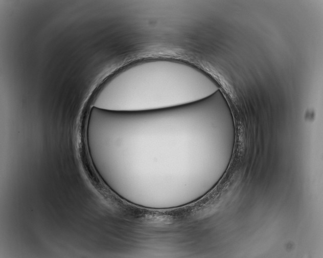 X0000103330582200809051024