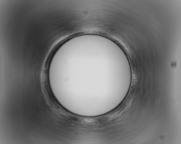 X0000103330583200809051024