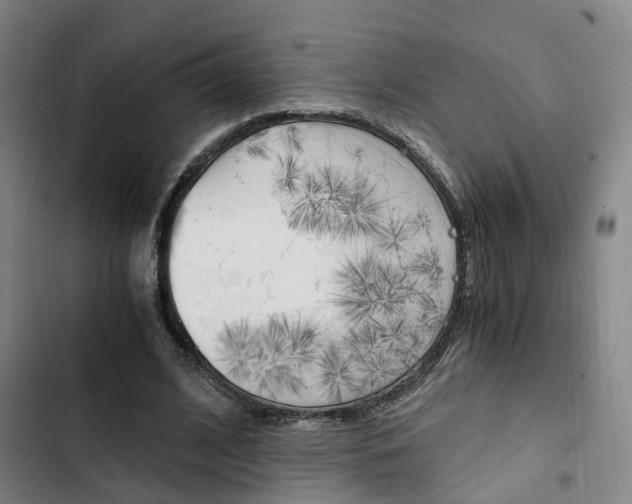 X0000103330584200809051024