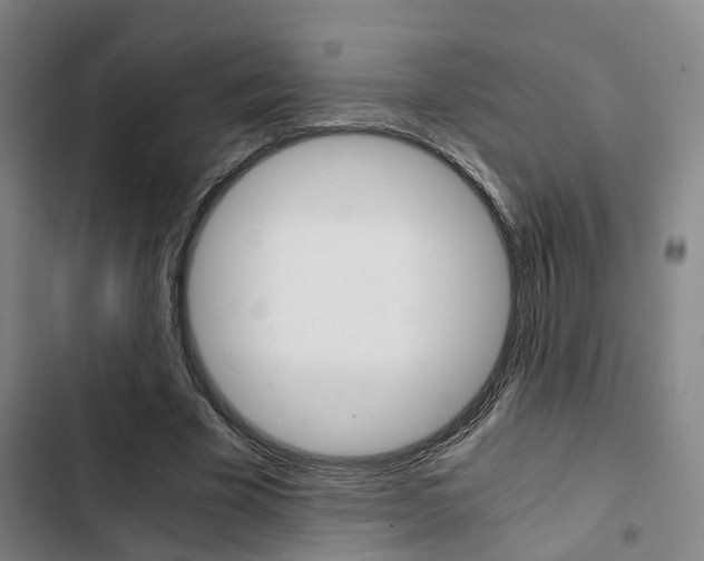 X0000103330585200809051024