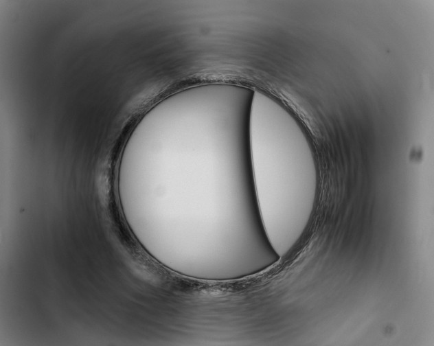 X0000103330586200809051024