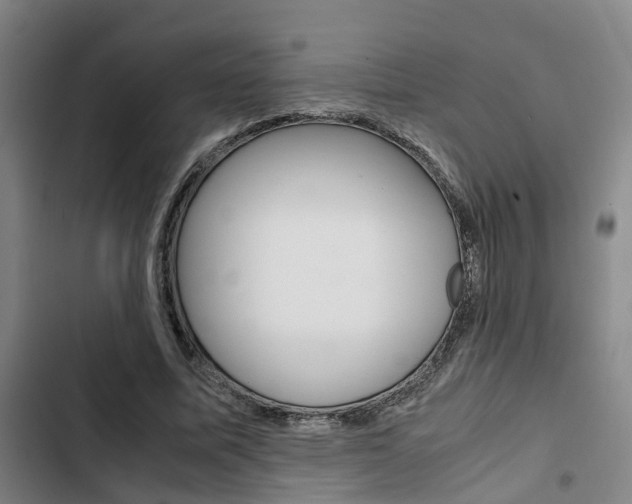 X0000103330587200809051024