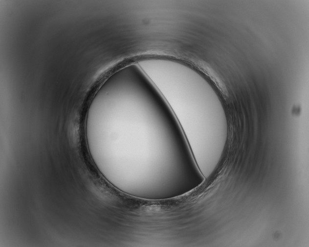 X0000103330588200809051024