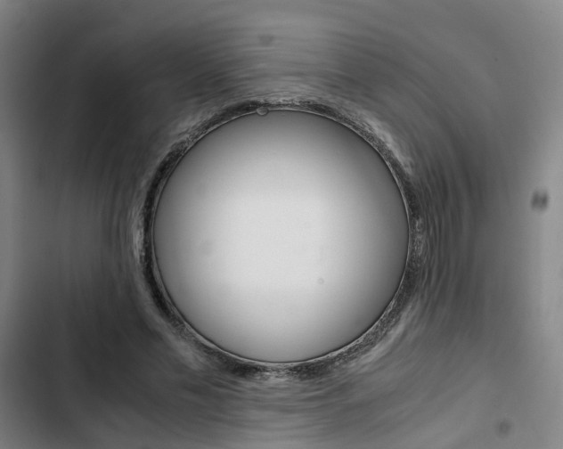 X0000103330589200809051024