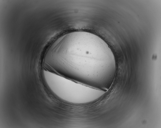 X0000103330592200809051024