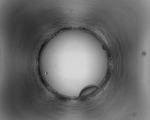 X0000103330593200809051024