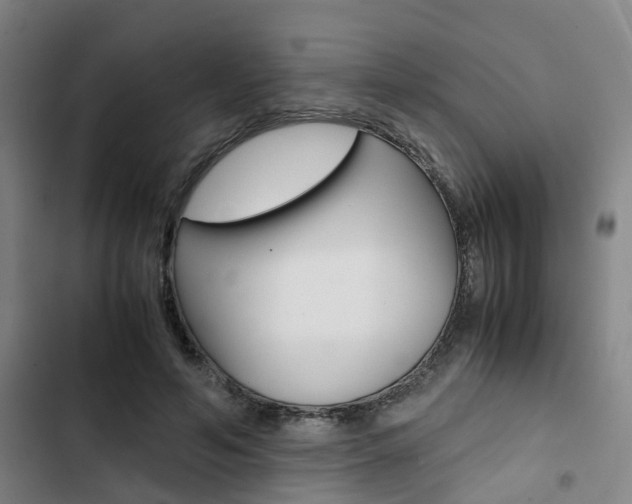 X0000103330594200809051024