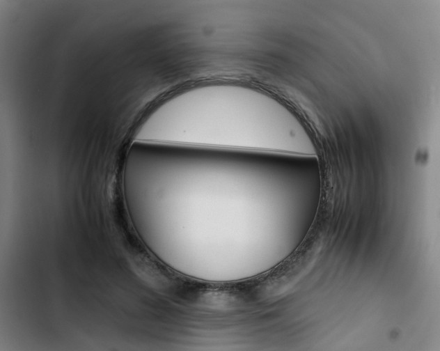 X0000103330596200809051024