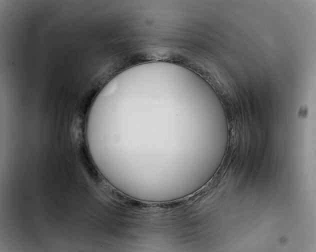 X0000103330598200809051024