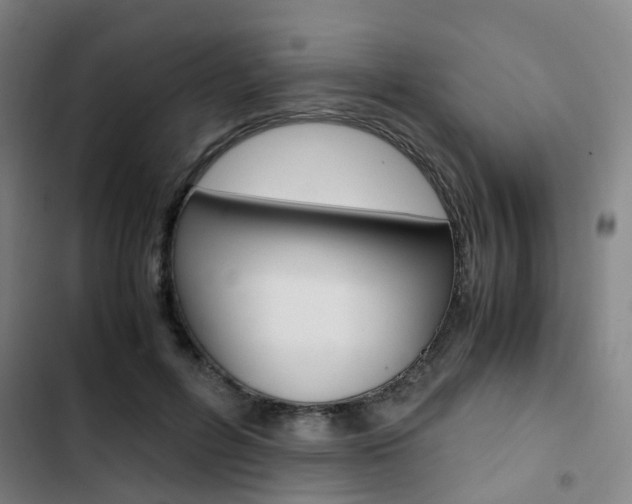 X0000103330600200809051024
