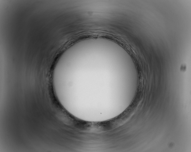 X0000103330601200809051024