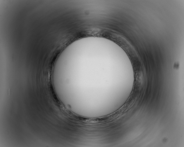 X0000103330602200809051024