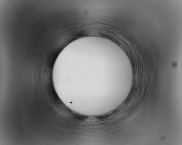 X0000103330603200809051024
