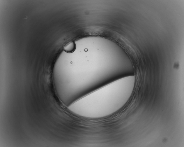 X0000103330604200809051024