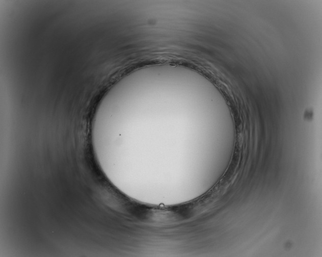 X0000103330605200809051024
