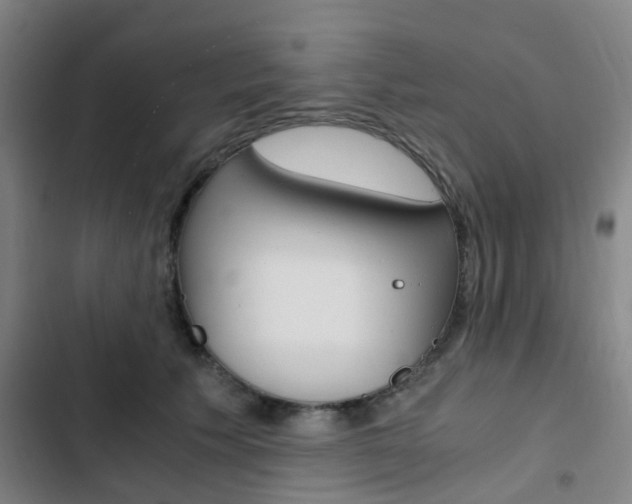 X0000103330609200809051024