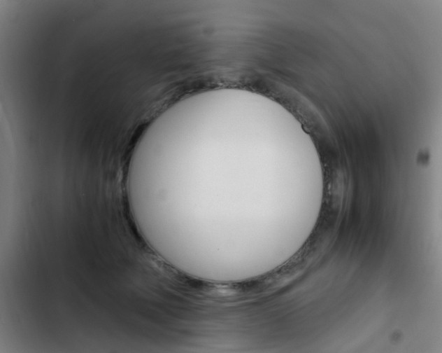 X0000103330610200809051024