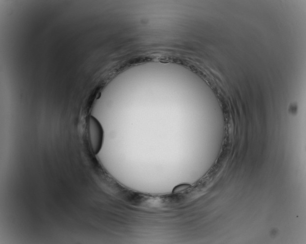 X0000103330611200809051024