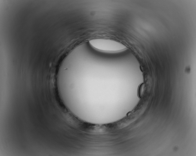 X0000103330612200809051024
