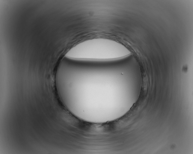 X0000103330613200809051023