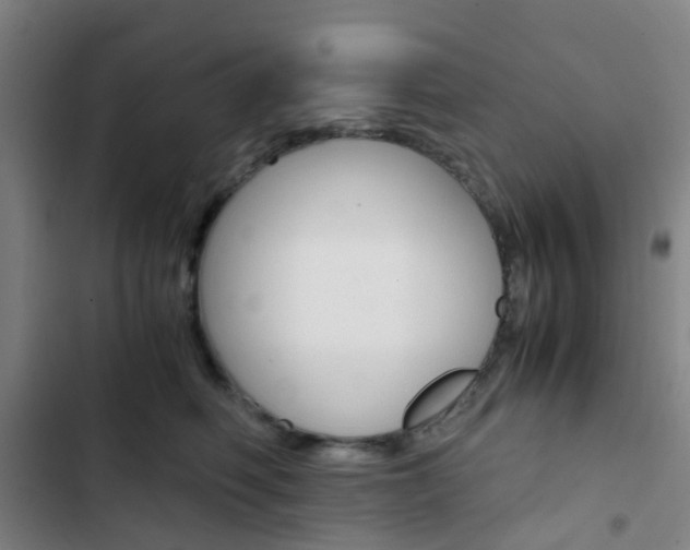 X0000103330614200809051023