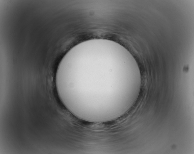 X0000103330615200809051023