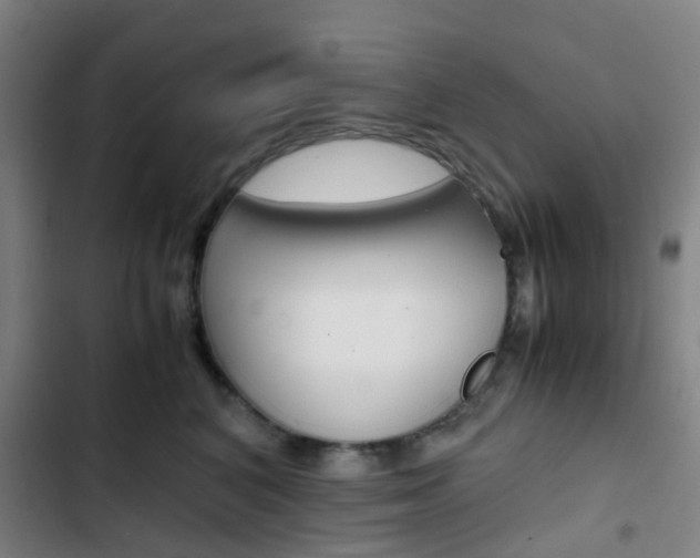 X0000103330616200809051023