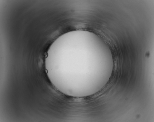 X0000103330618200809051023