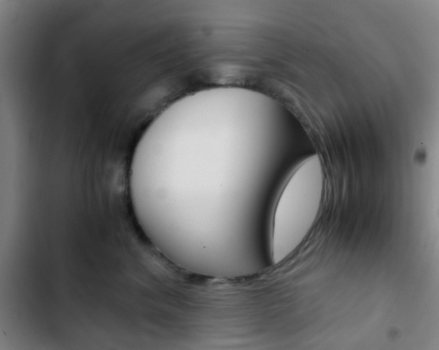 X0000103330620200809051023