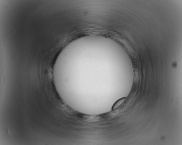X0000103330621200809051023