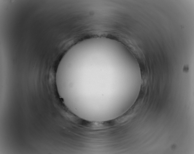 X0000103330623200809051023