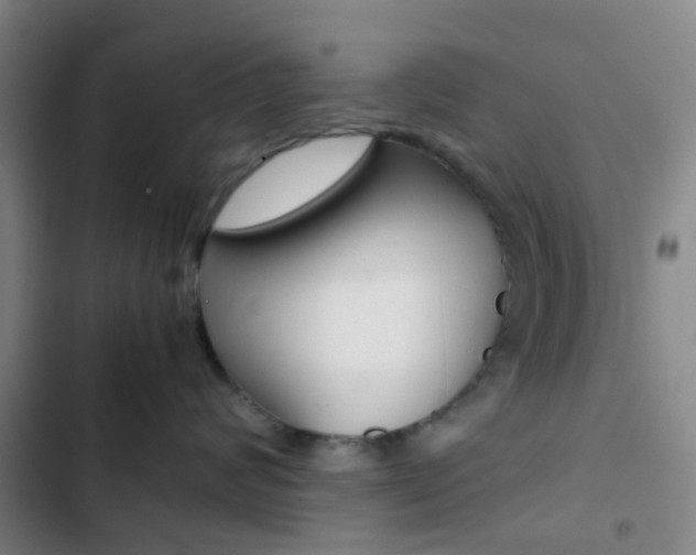 X0000103330624200809051023