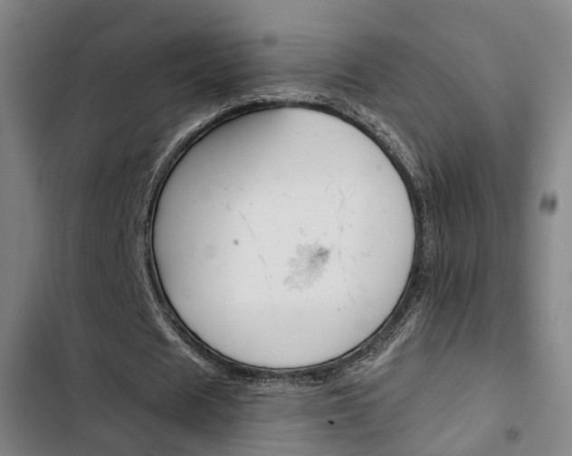 X0000103330625200809051023