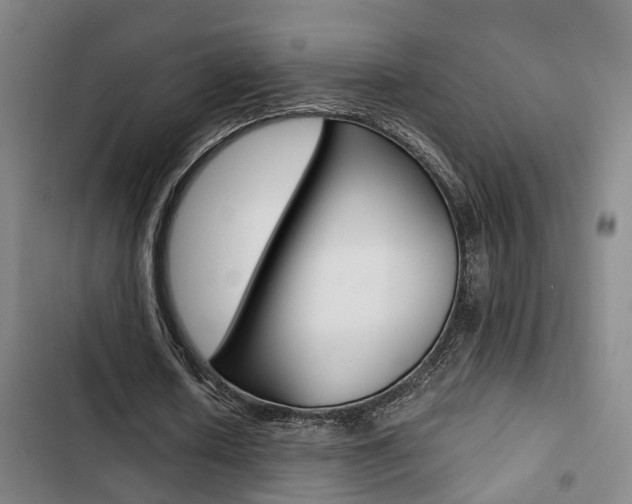 X0000103330626200809051023
