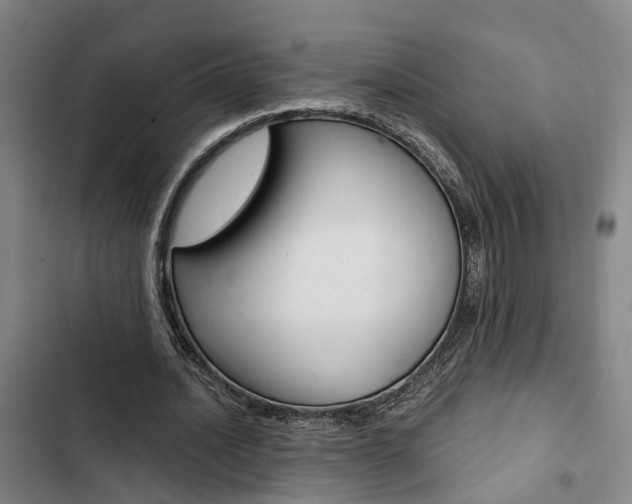 X0000103330628200809051023