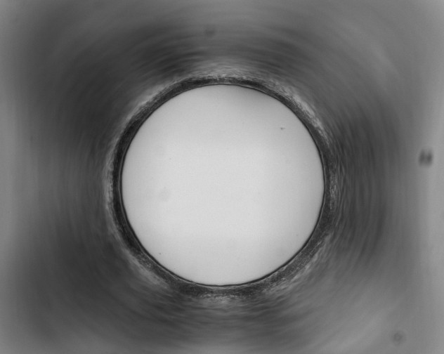 X0000103330629200809051023