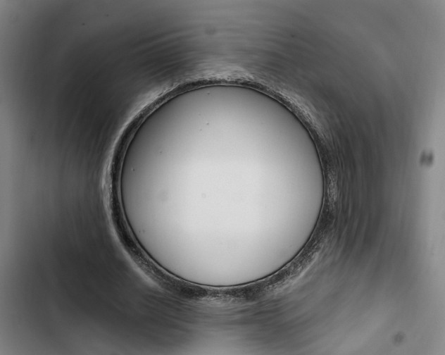 X0000103330630200809051023